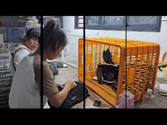 Özel ayakkabı servis fabrikası